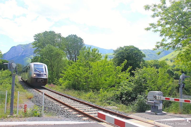 Sprinter, vraiment ? Musarder dans le train entre Bedous et Pau, Béarn en Pyrénées.