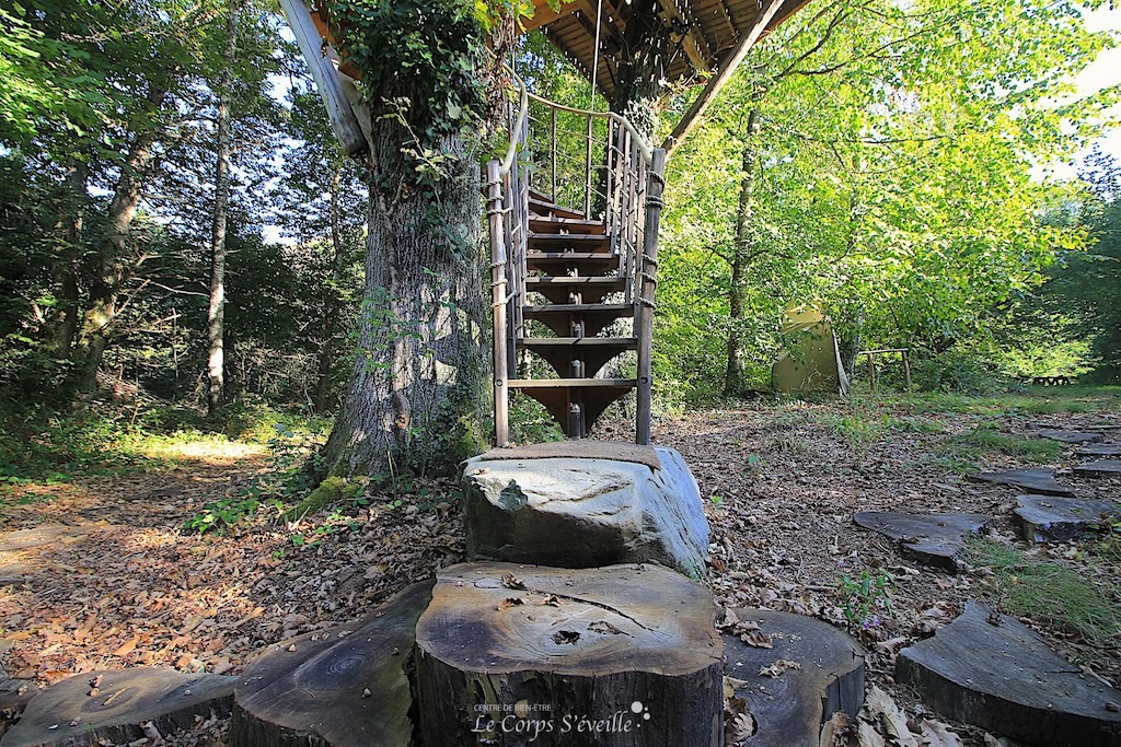 Caban’Aspe : escalier autour d’un chêne. Vallée d’Aspe, Haut-Béarn, Pyrénées Atlantiques.
