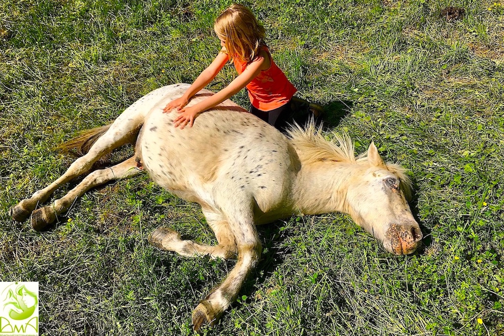 Médiation animale avec un poney en Haut-Béarn. Photographie : Chloé Brinon.
