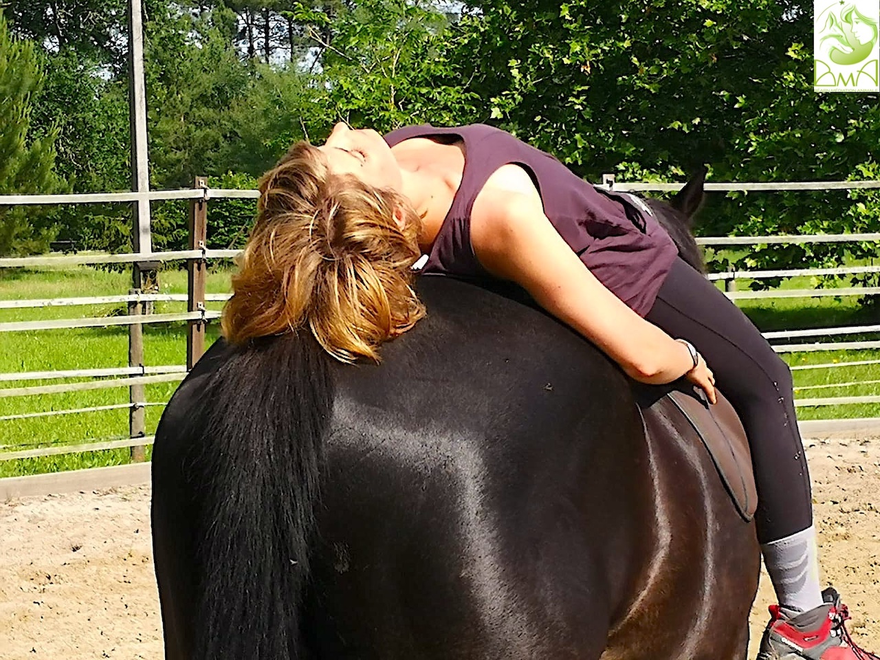Médiation animale avec un cheval en Vallée d’Aspe. Photographie : Chloé Brinon.