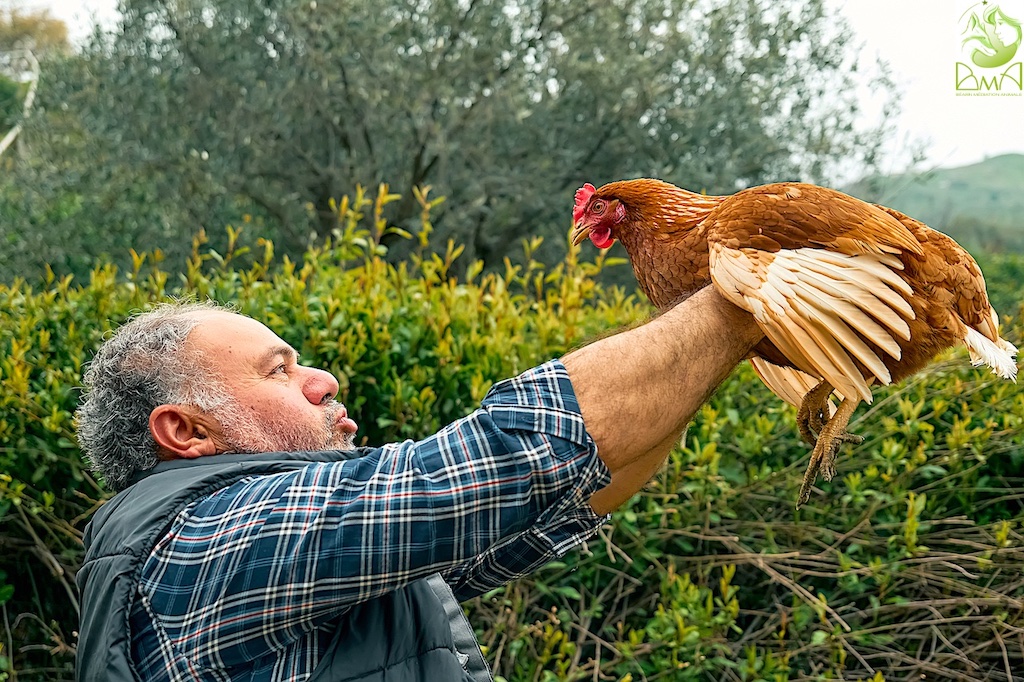 Médiation animale avec une poule. Photographie : Chloé Brinon.