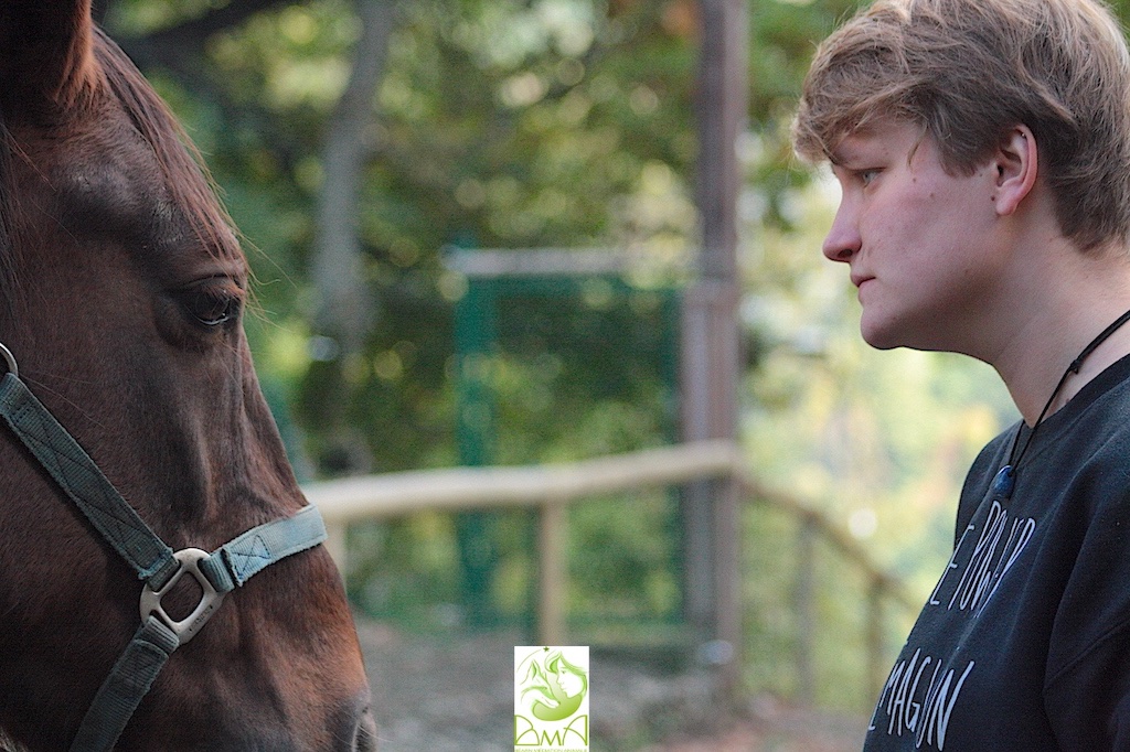 Médiation animale avec un cheval en Haut-Béarn. Photographie : Chloé Brinon.