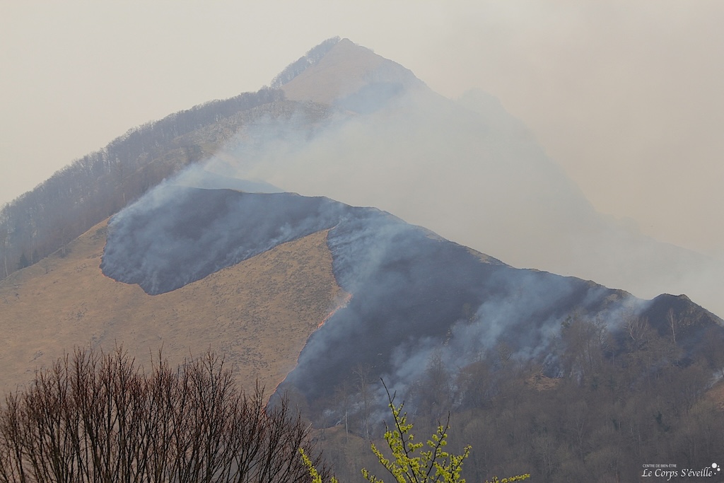 Écobuage ou brûlage pastoral au-dessus d’Escot. Vallée d’Aspe, Haut-Béarn, Pyrénées Atlantiques.