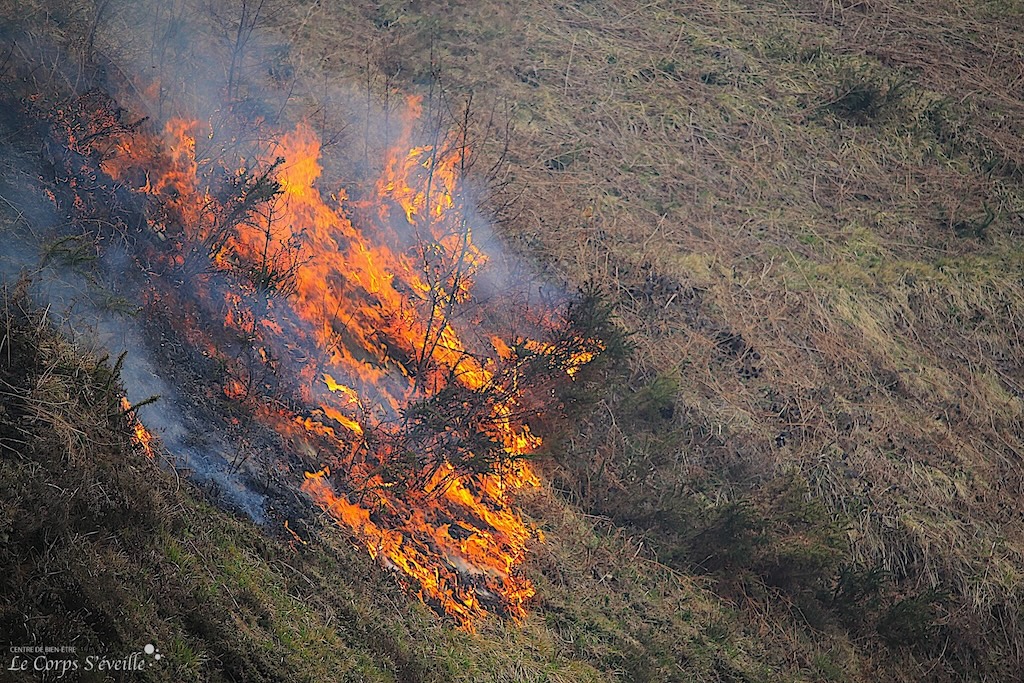 Écobuage ou brûlage pastoral au col de Bouésou, Haut-Béarn, Pyrénées Atlantiques.
