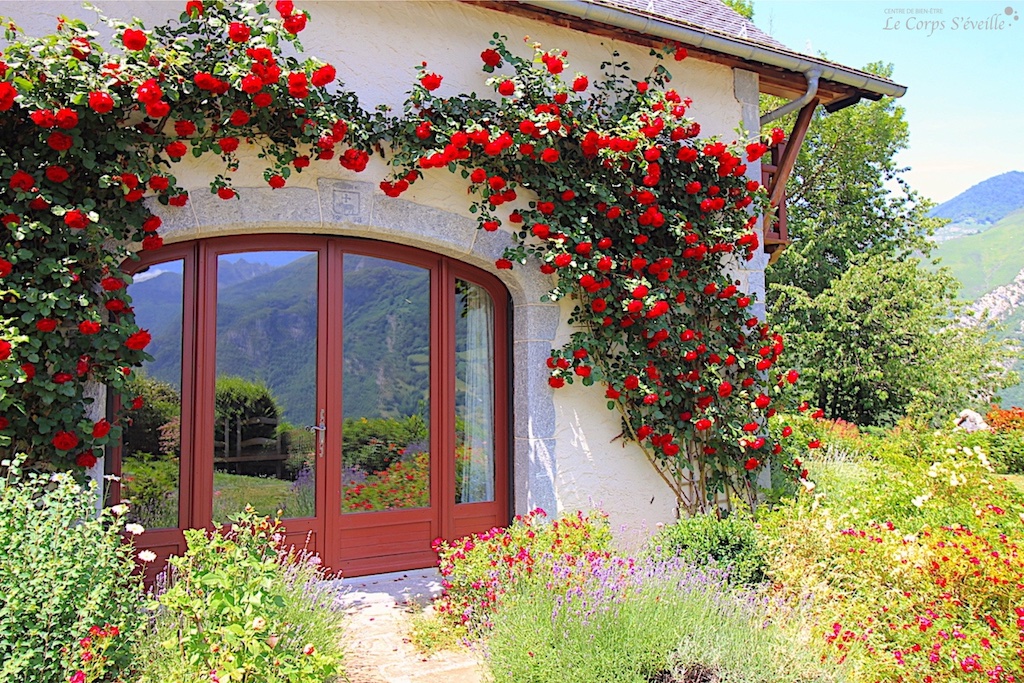 Chambres d’hôte L’Espiatet : bien-être en Vallée d’Aspe, Pyrénées. Le jardin photographié en juin.