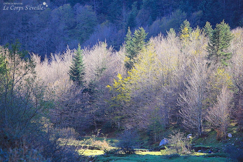 Fêtes secrètes en Vallée d’Aspe : puits de lumière au Plateau de Sanchese. Haut-Béarn en Pyrénées.