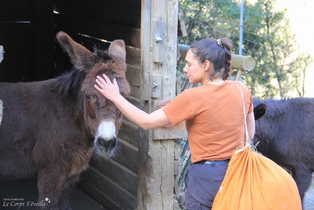 Laura Lechef, soigneuse animalière à Parc’Ours en Haut-Béarn. Ici dans l’enclos des ânes.