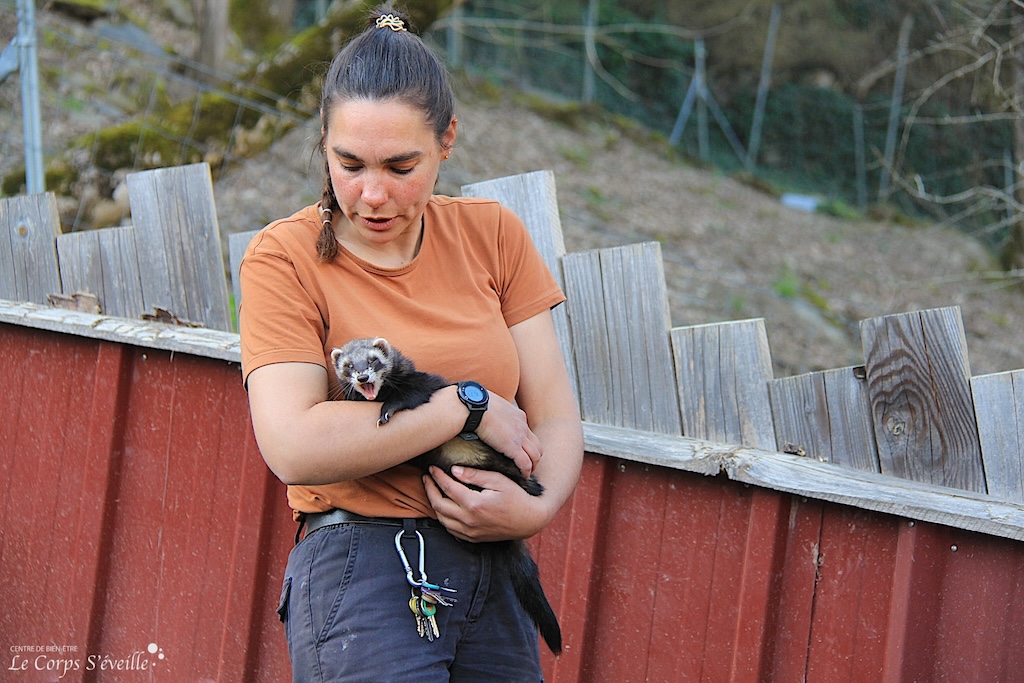 Laura Lechef, soigneuse animalière, dans l’enclos des furets à Parc’Ours en Vallée d’Aspe, Béarn.