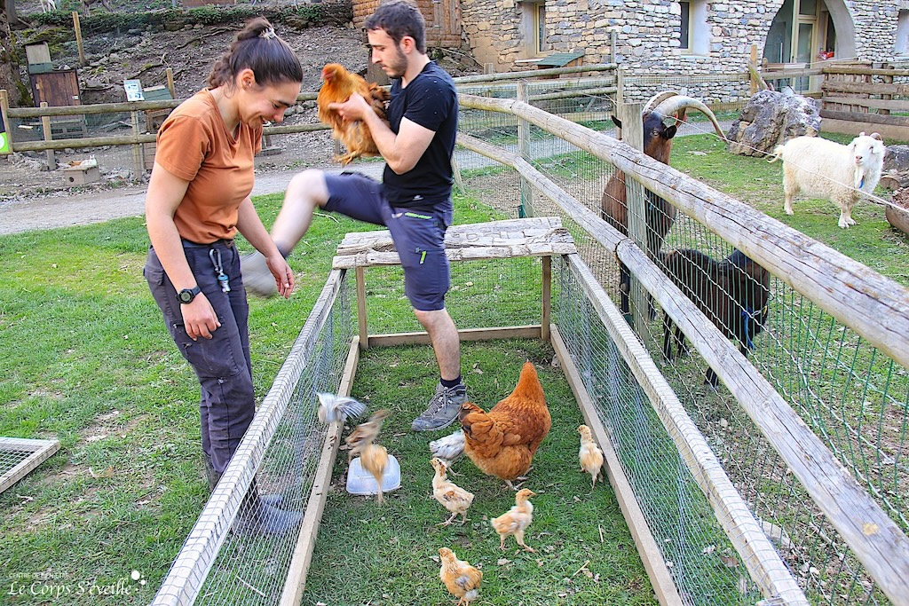 Laura Lechef protège la poule et ses poussins du coq avec son collègue Benjamin Paillard.