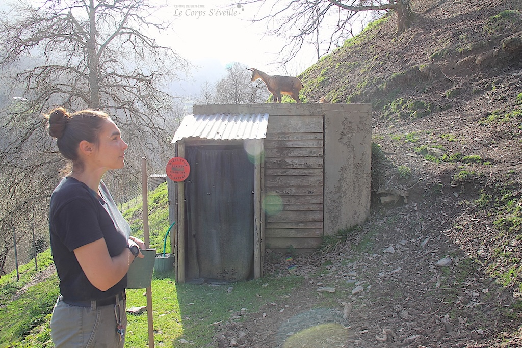 Laura Lechef, soigneuse animalière, observe les isards. Parc’Ours en Béarn, Pyrénées Atlantiques.