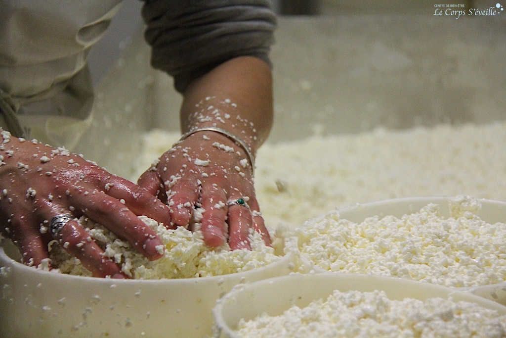 À l’atelier de fabrication des fromages. GAEC du Biella en Haut-Béarn, Pyrénées.