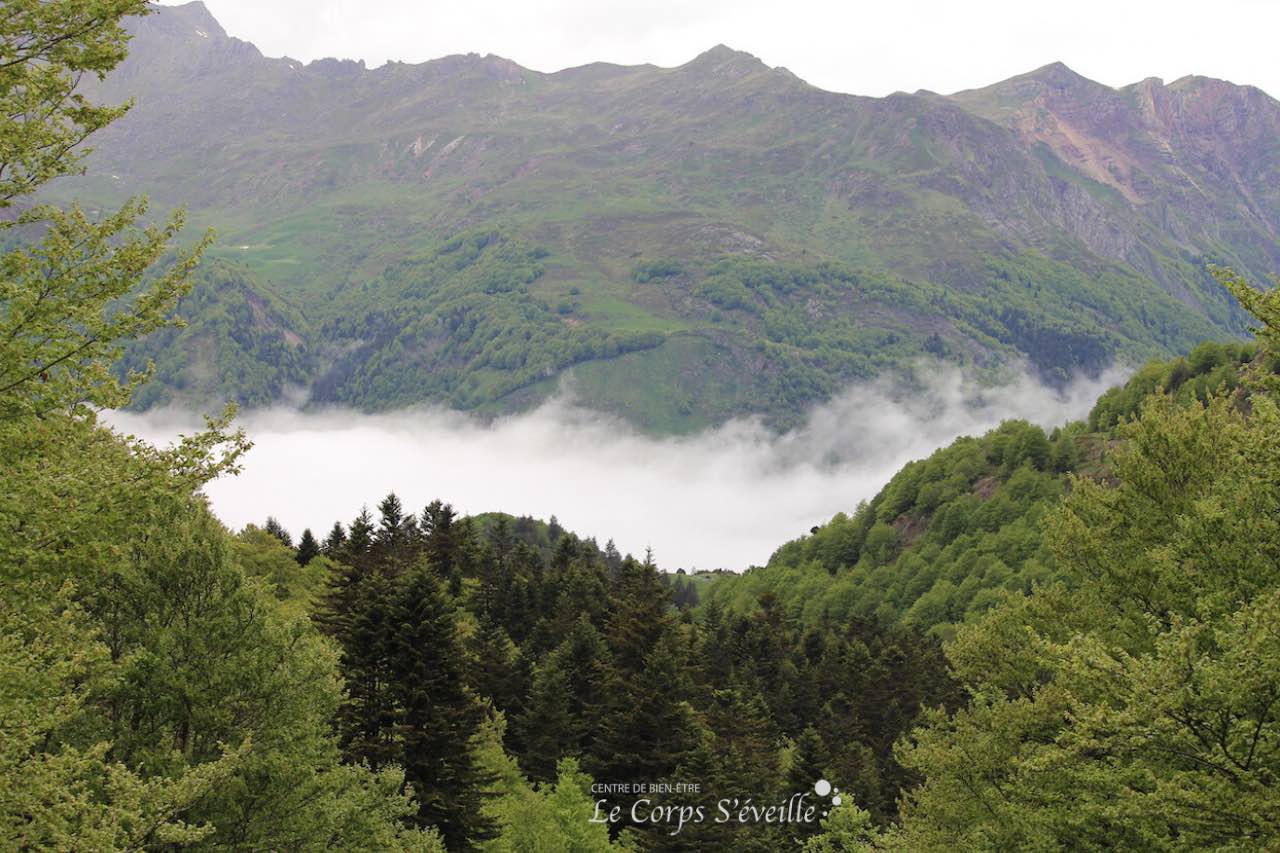 Un temps pour soi dans un Centre de bien-être en montagne, Béarn en Pyrénées.