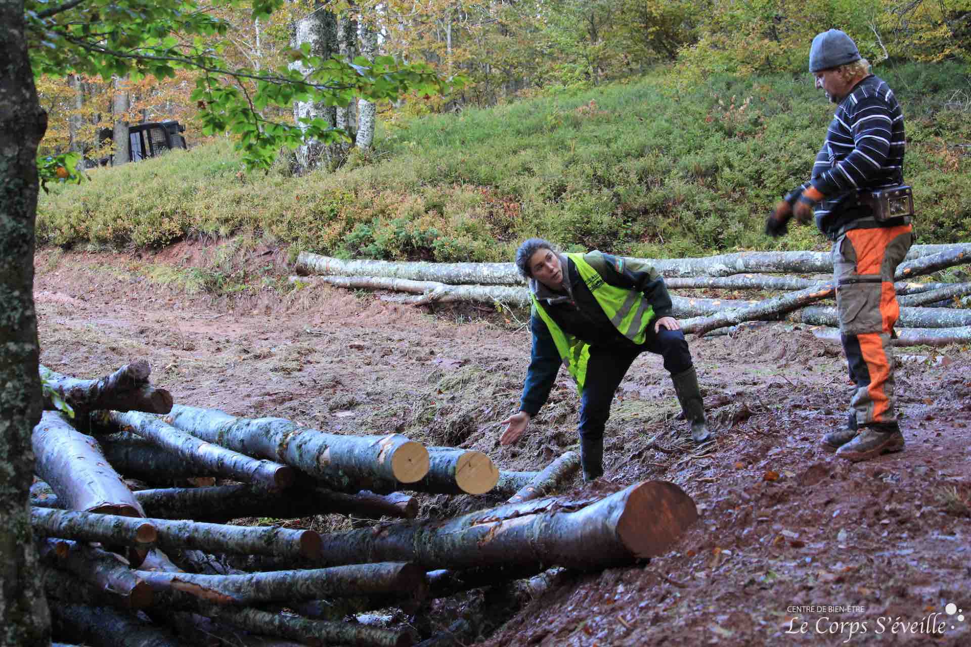 Camille Gizardin dirige un chantier de coupe de hêtres au Somport pour du bois de chauffage en Vallée d’Aspe.