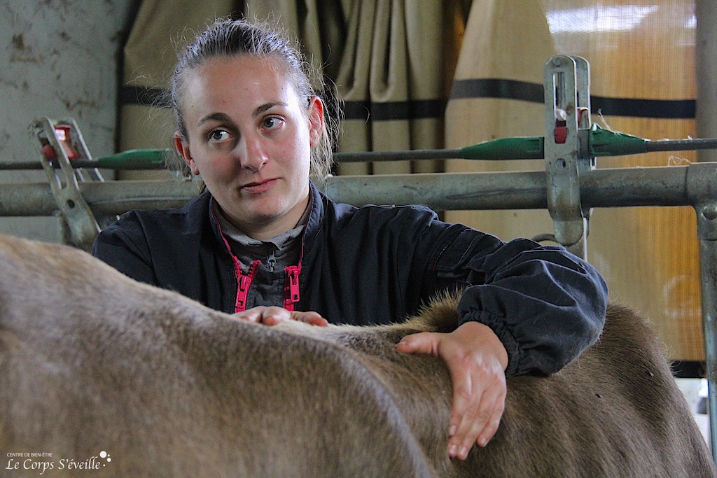 Stéphanie Lanot-Grousset, ostéopathe, en intervention dans un élevage à Borce, Haut-Béarn.