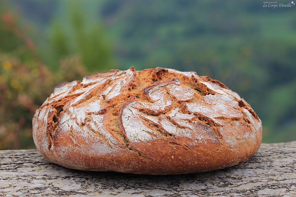 Céréales complètes, Bio : le bon pain prend du relief.