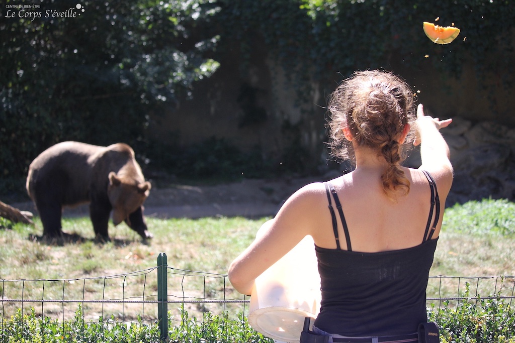 Djanisse nourrit Diego, ours mâle. L’ours femelle se nomme Ségolène. Parc animalier à Borce.