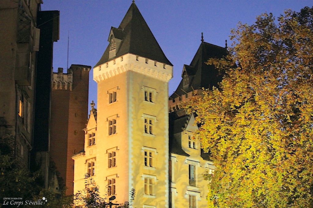 Pau et les massages. Le château de Pau vu de nuit, façade nord. Béarn en Pyrénées Atlantiques.
