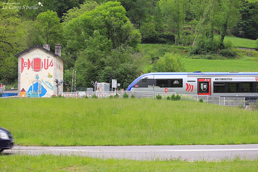 Train TER Nouvelle Aquitaine Pau Oloron-Sainte-Marie Bedous. Ici à l’entrée de Bedous, Vallée d’Aspe.