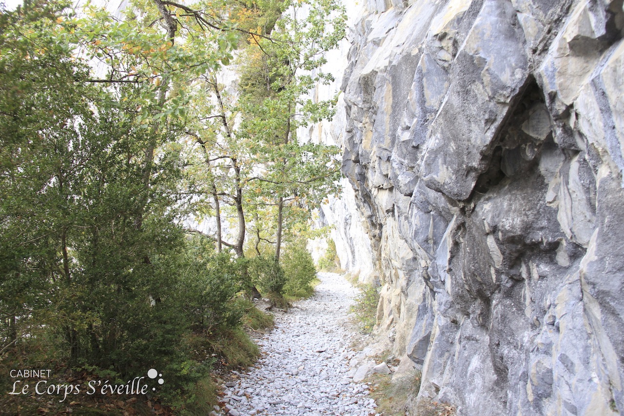 Oser une randonnée sur le chemin de la Mâture au sud de Pau et Oloron, dans les Pyrénées béarnaises.