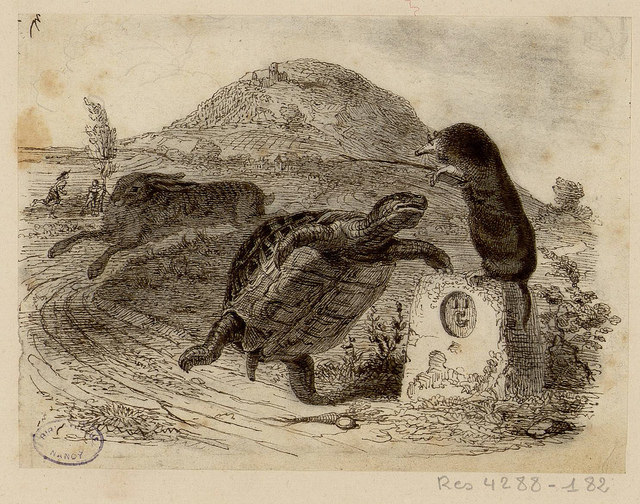 Oser la lenteur : Le lièvre et la tortue, dessin de Grandville (1837) pour les Fables de La Fontaine. Bibliothèque Stanislas à Nancy
