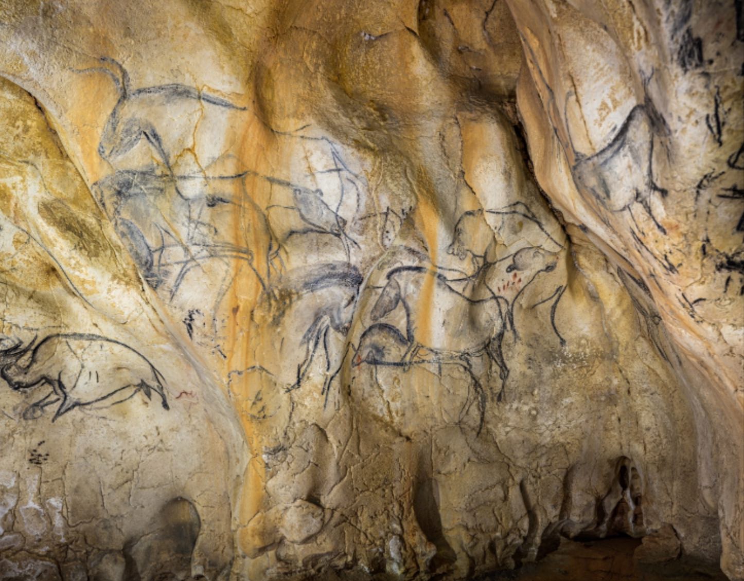 La grotte Chauvet : l’alcôve des lions.