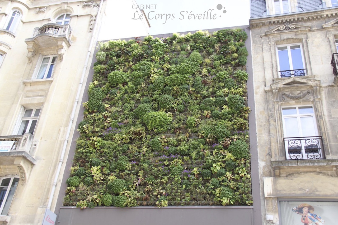 Cueillir un plaisir : une façade au centre-ville de Reims.