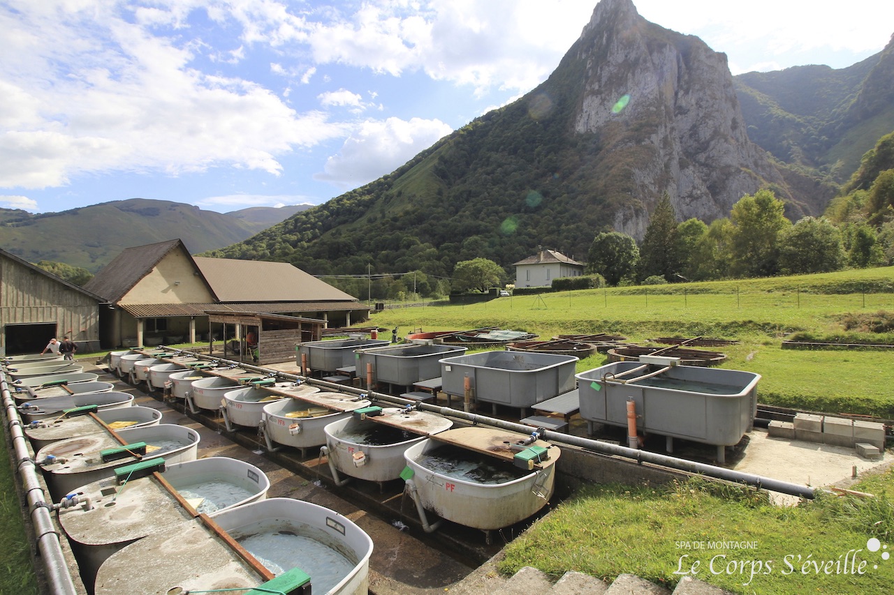 Pisciculture de Lées-Athas. Bassins affectés aux poissons nourris de farines végétales.