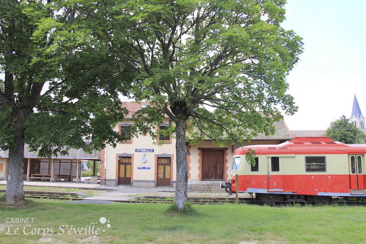 La voie ferrée entre Saint-Étienne et La-Chaise-Dieu a été fermée, puis en partie démontée dans les années 1980. À Estivareilles, en été, des bénévoles font circuler une micheline jusqu’à Craponne-sur-Arzon.